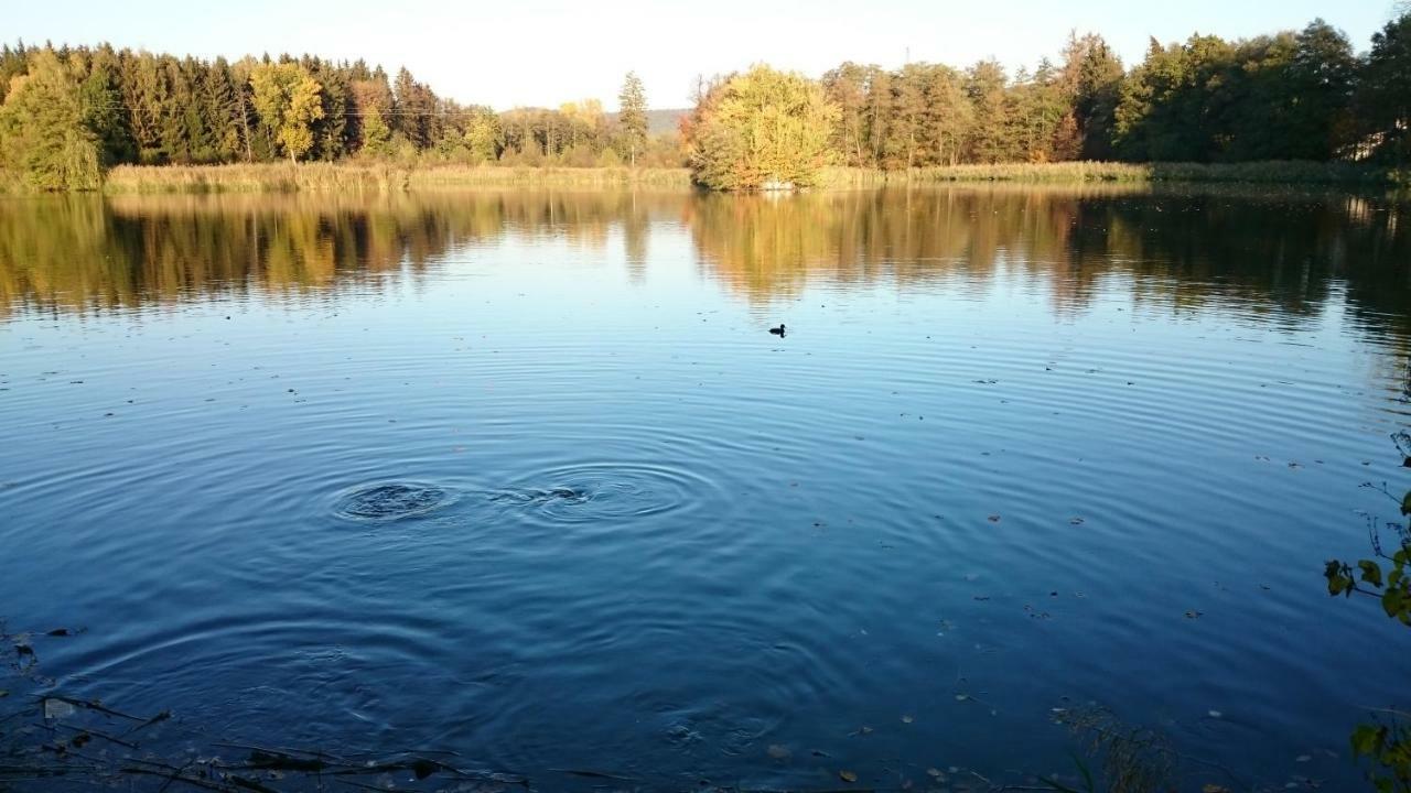 Ferienwohnung Mitwitz Kronach Neustadt Coburg - Erholung, Wandern Uvm. Sehr Ruhig Gelegen Kültér fotó